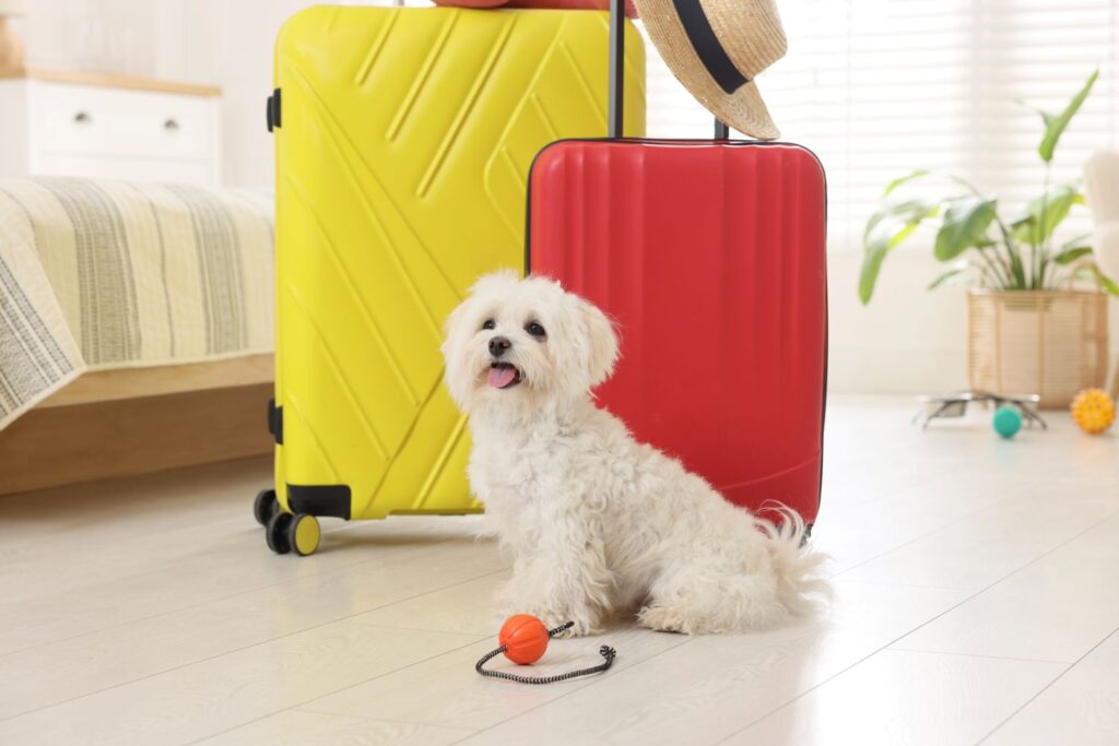 Affordable Pet-Friendly Vacation Rentals
