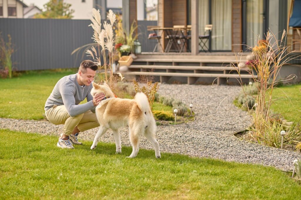Pet-Friendly Vacation Rentals with Outdoor Space